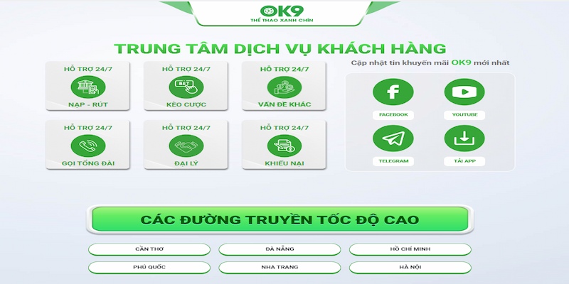 Đại lý ok9 luôn nhận được sự hỗ trợ tỉ mỉ